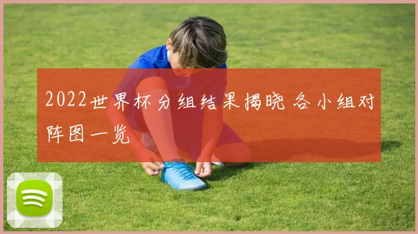 2022世界杯分组结果揭晓 各小组对阵图一览